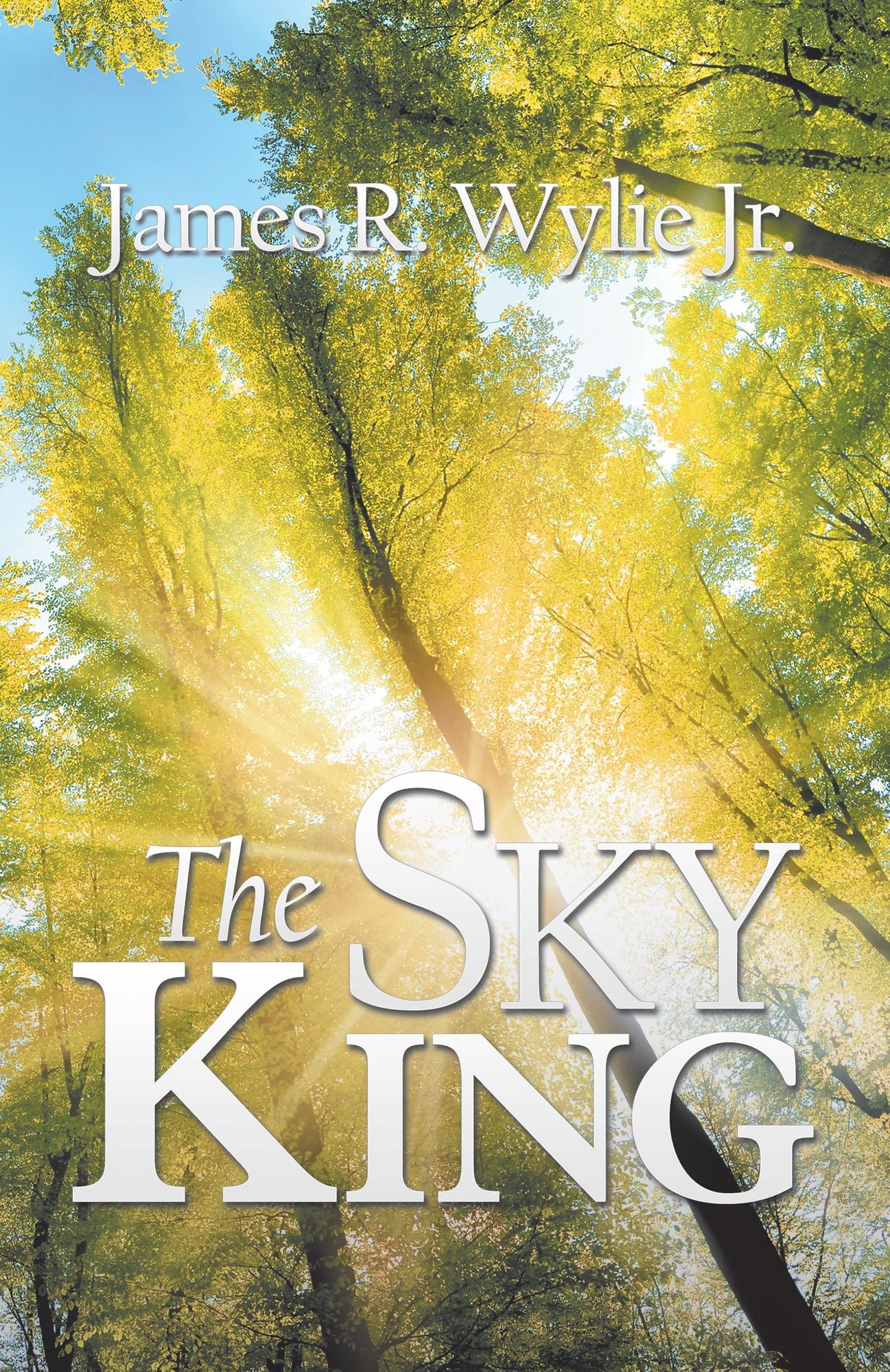 The Sky King