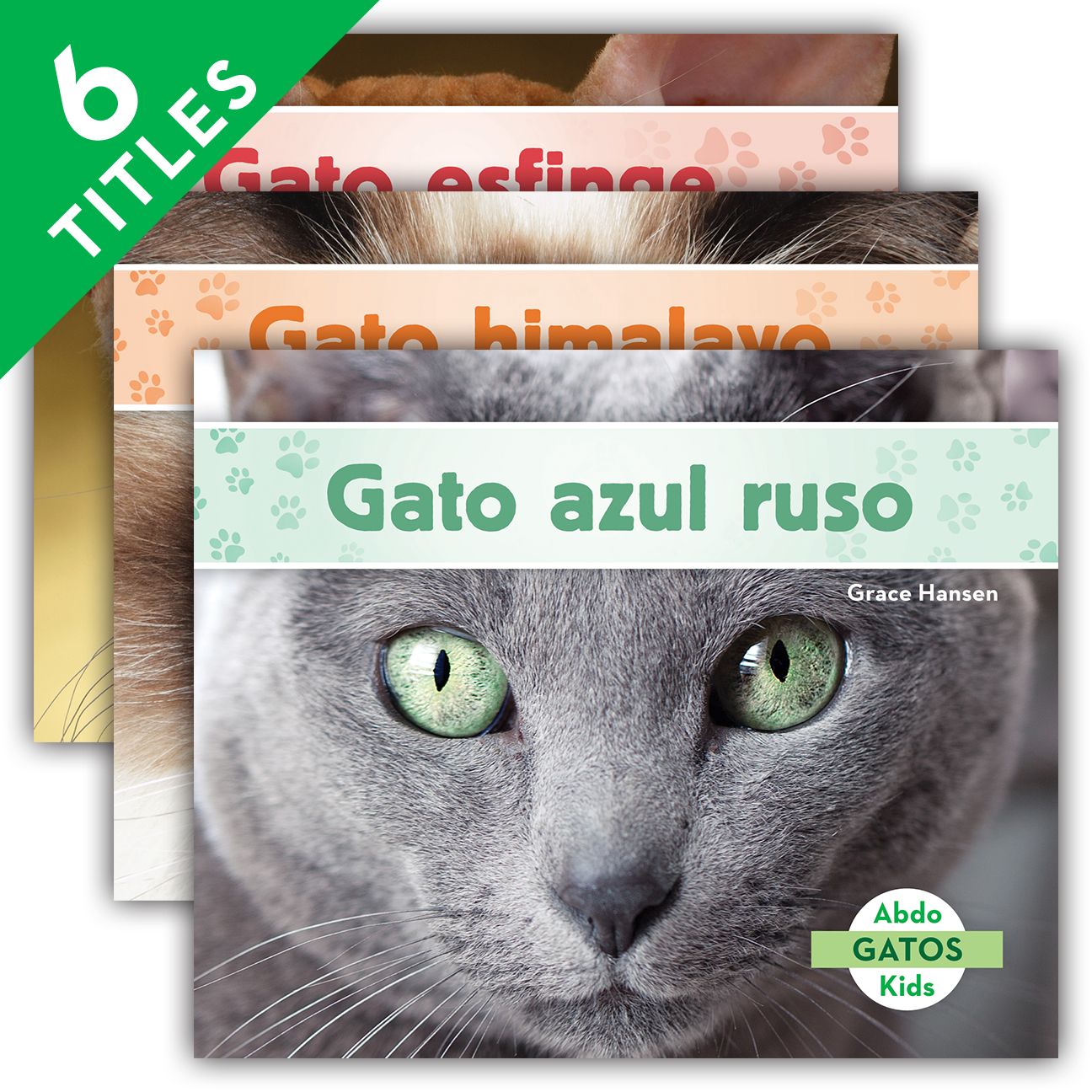 Gatos (Cats Set 2) (Set)