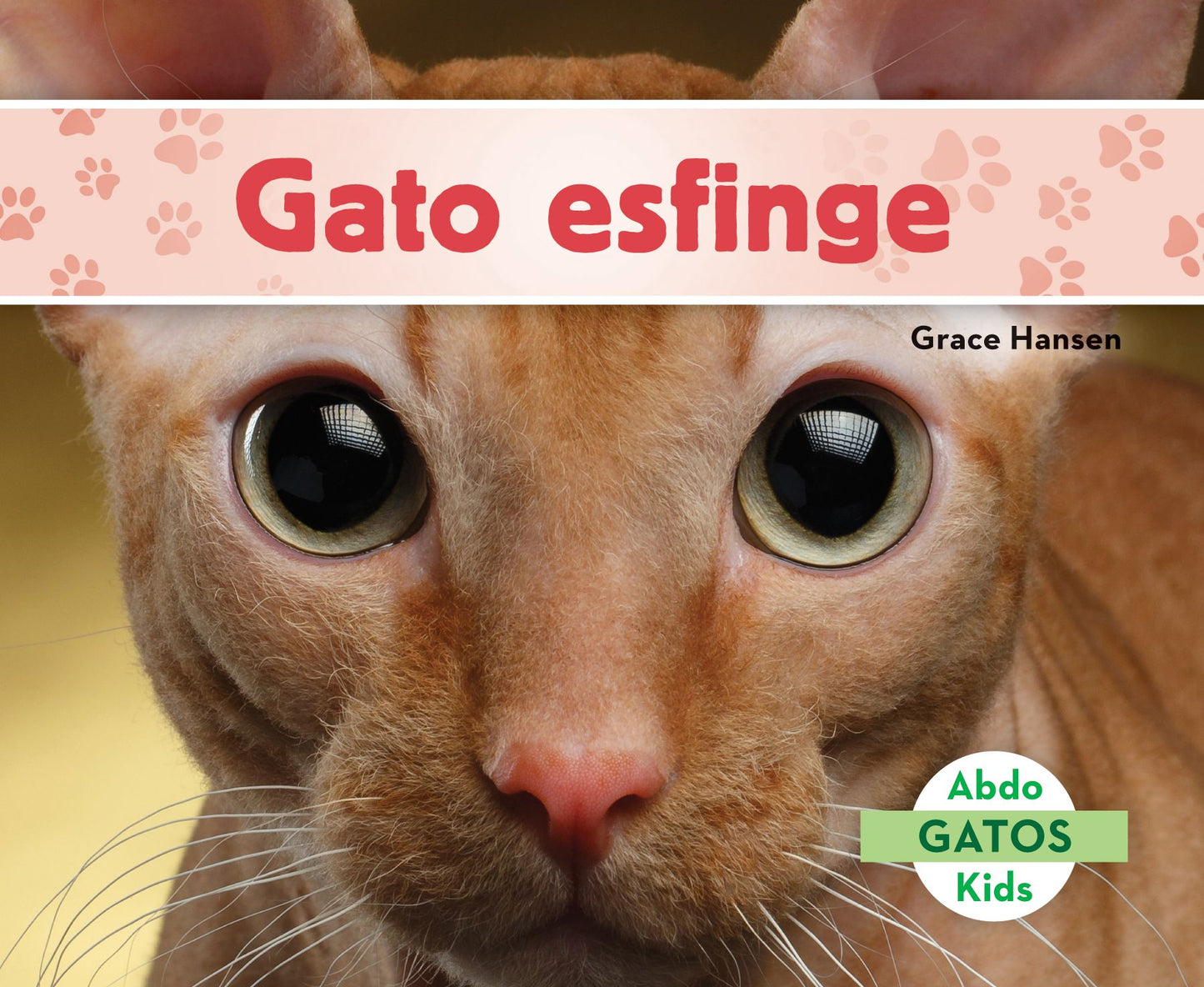 Gato Esfinge (Sphynx Cats)