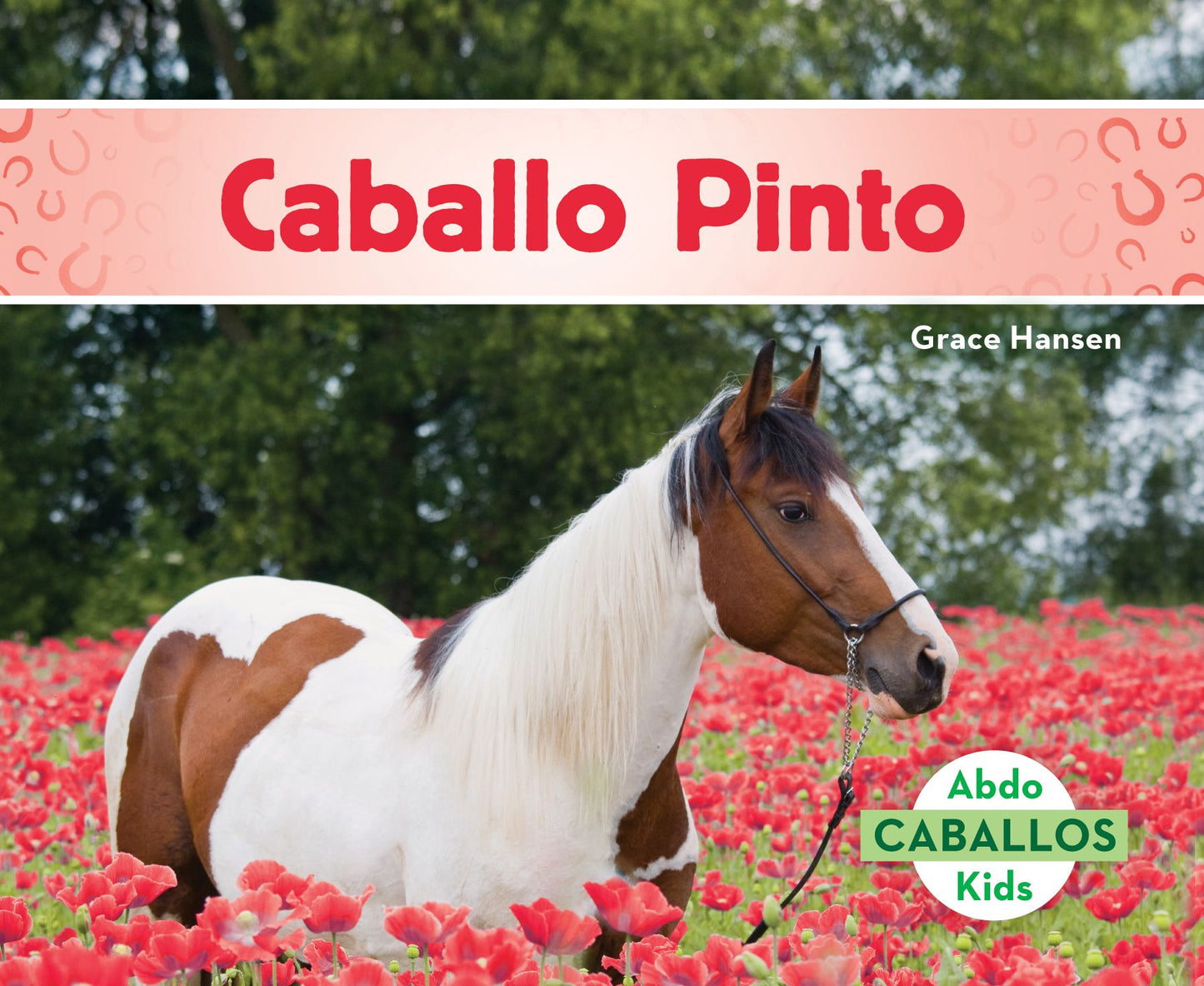 Caballo Pinto (American Paint Horses)