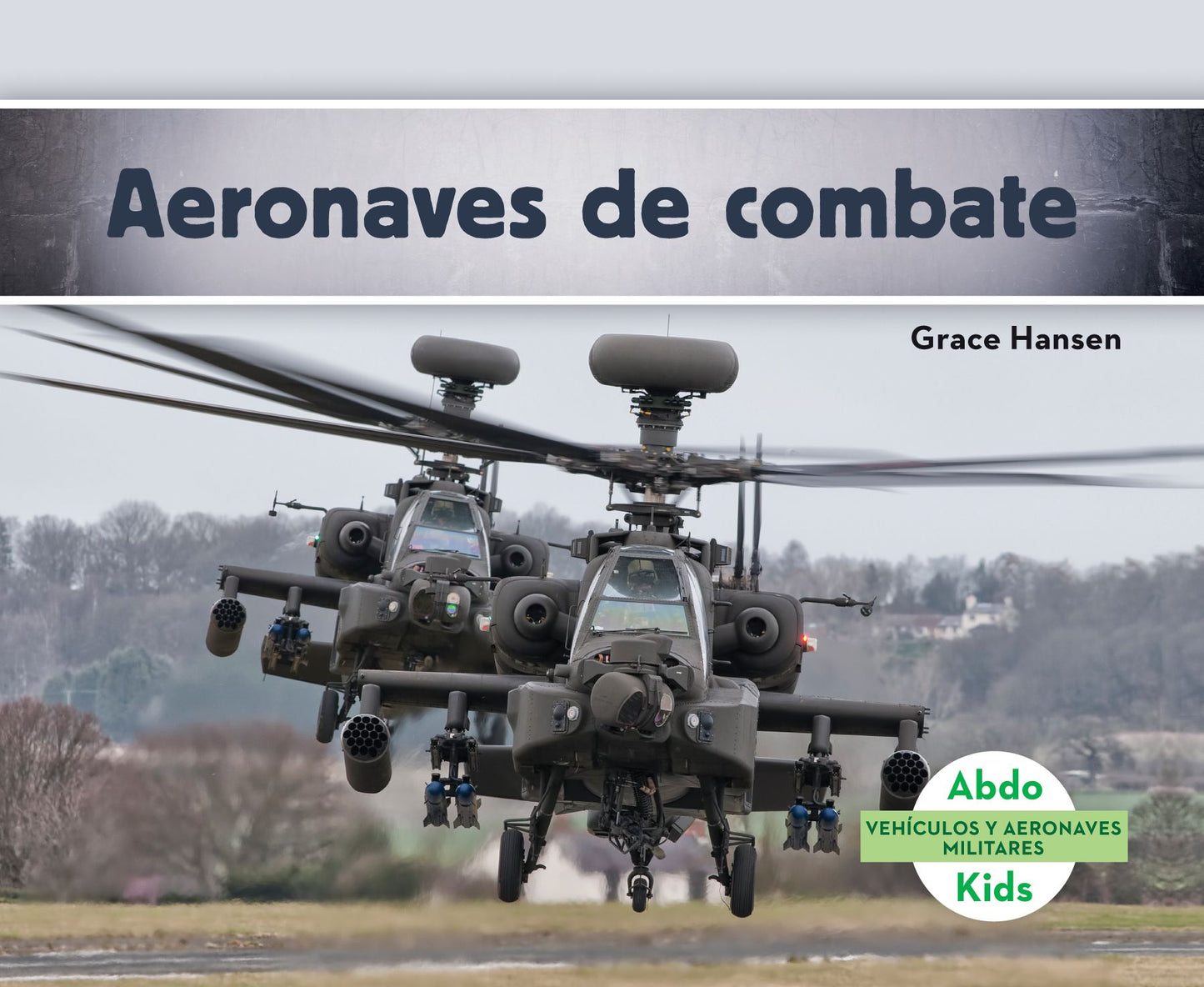 Aeronaves de Combate (Military Attack Aircraft )