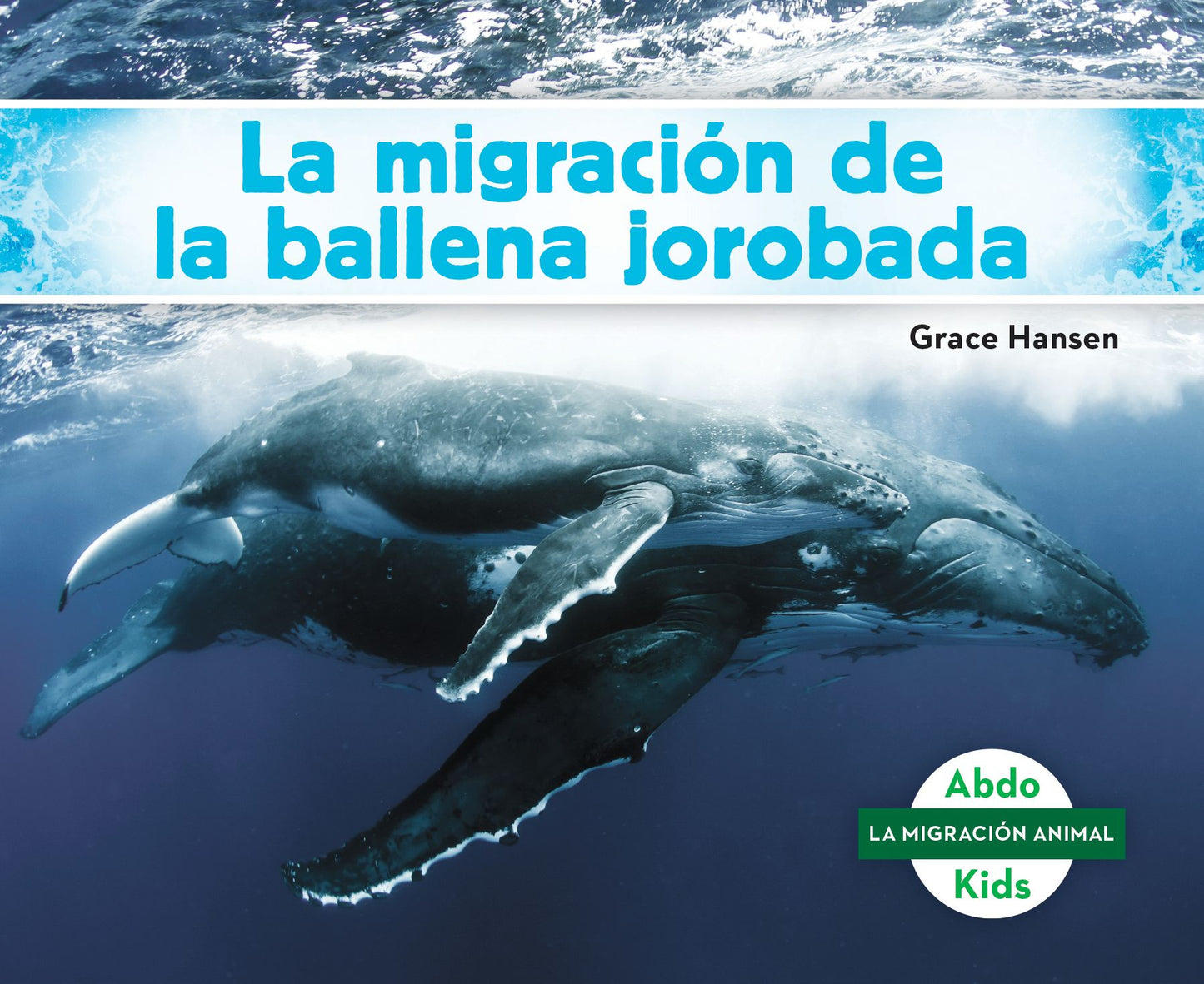 La migraci¢n de la ballena jorobada/ Humpback Whale Migration