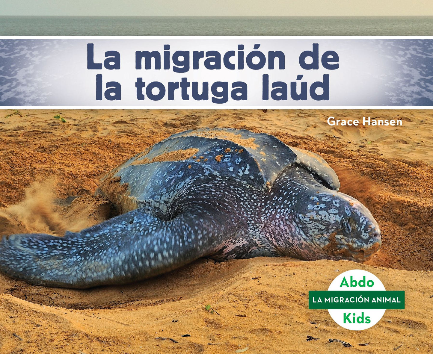 La migraci¢n de la tortuga la£d/ Leatherback Turtle Migration