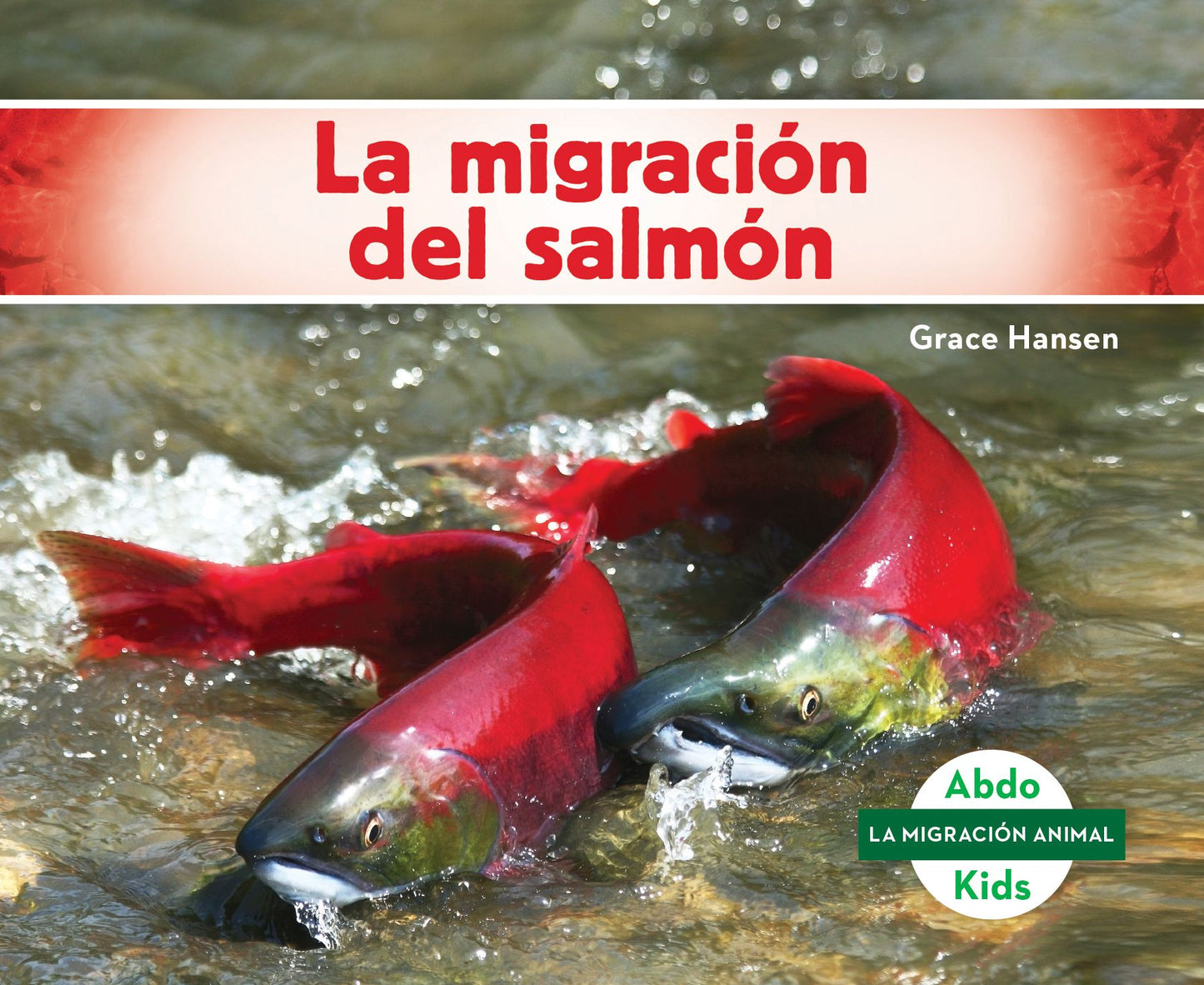 La migraci¢n del salm¢n/ Salmon Migration