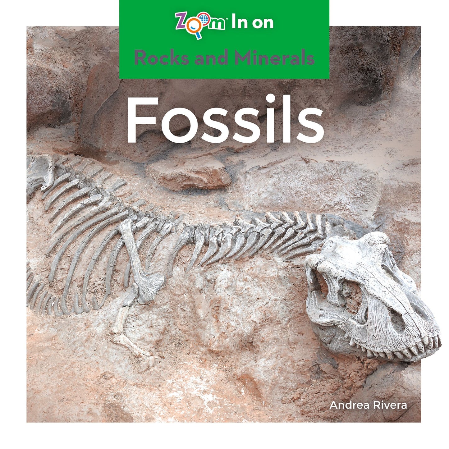 Fossils