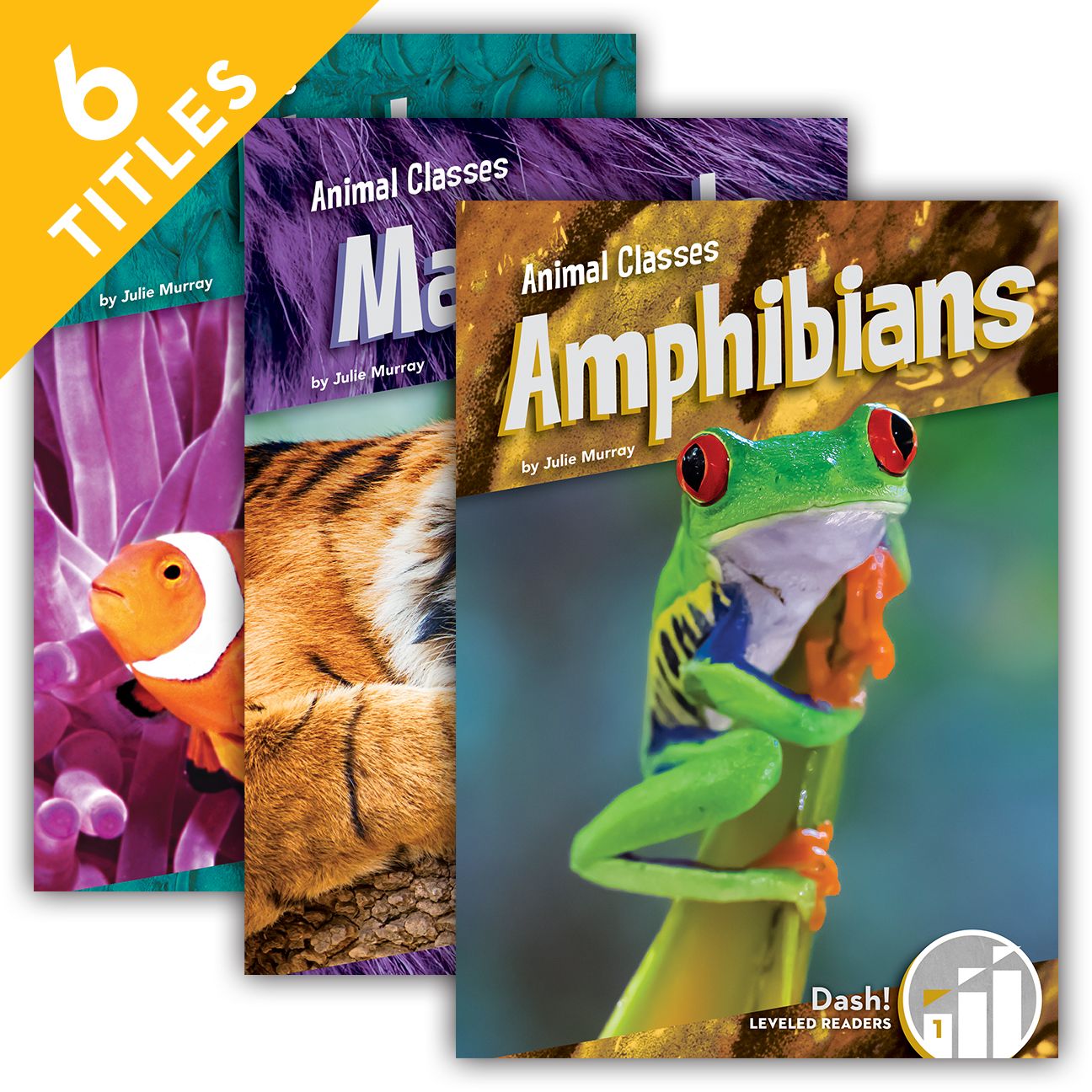 Animal Classes (Set)