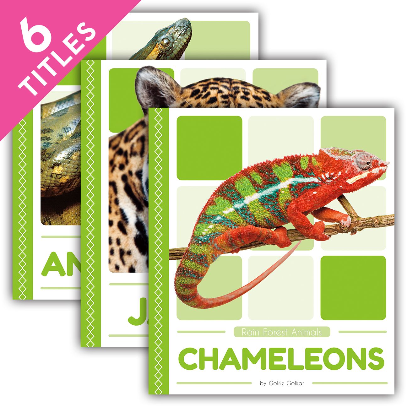 Rain Forest Animals (Set)