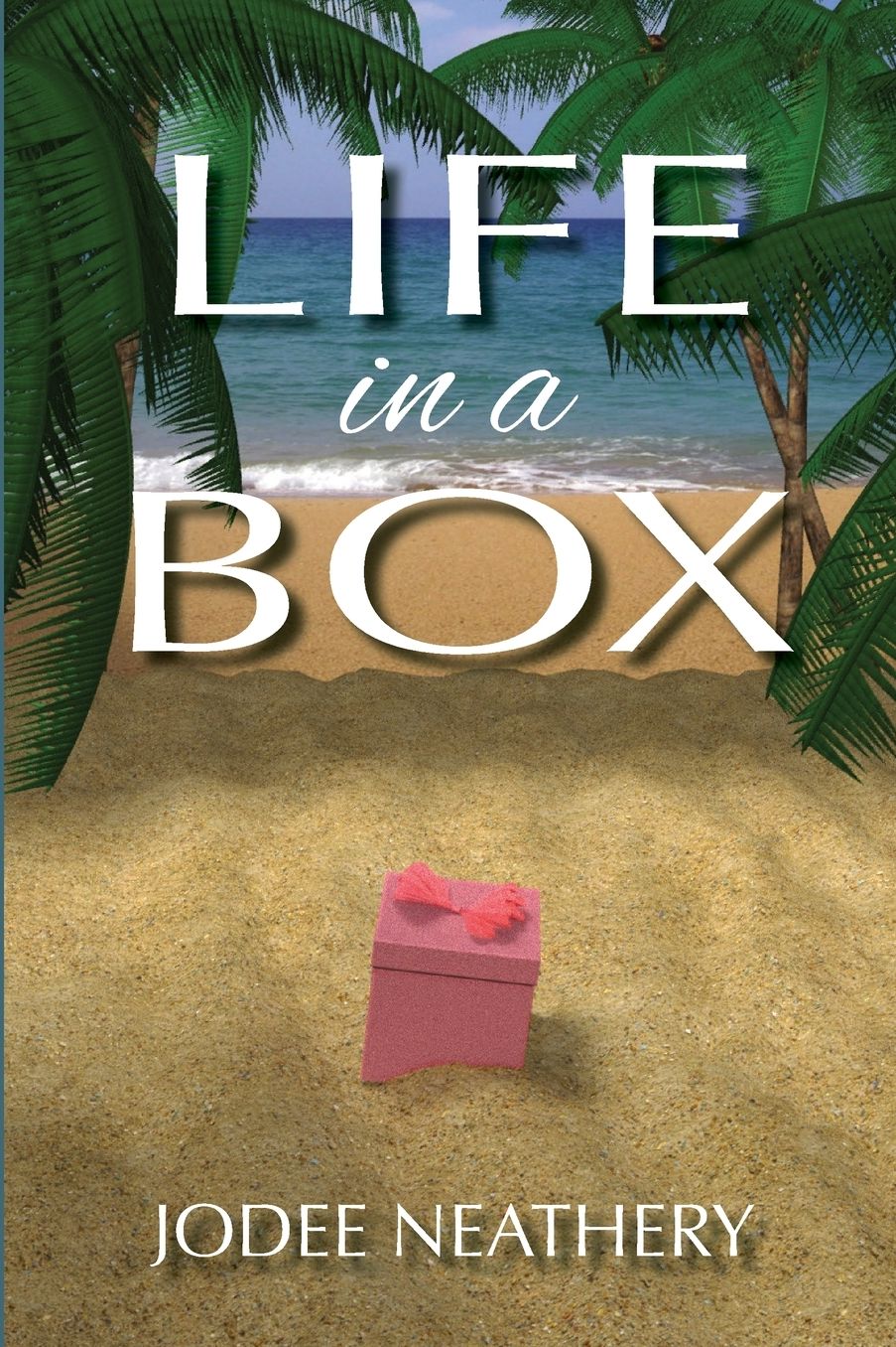 Life in a Box