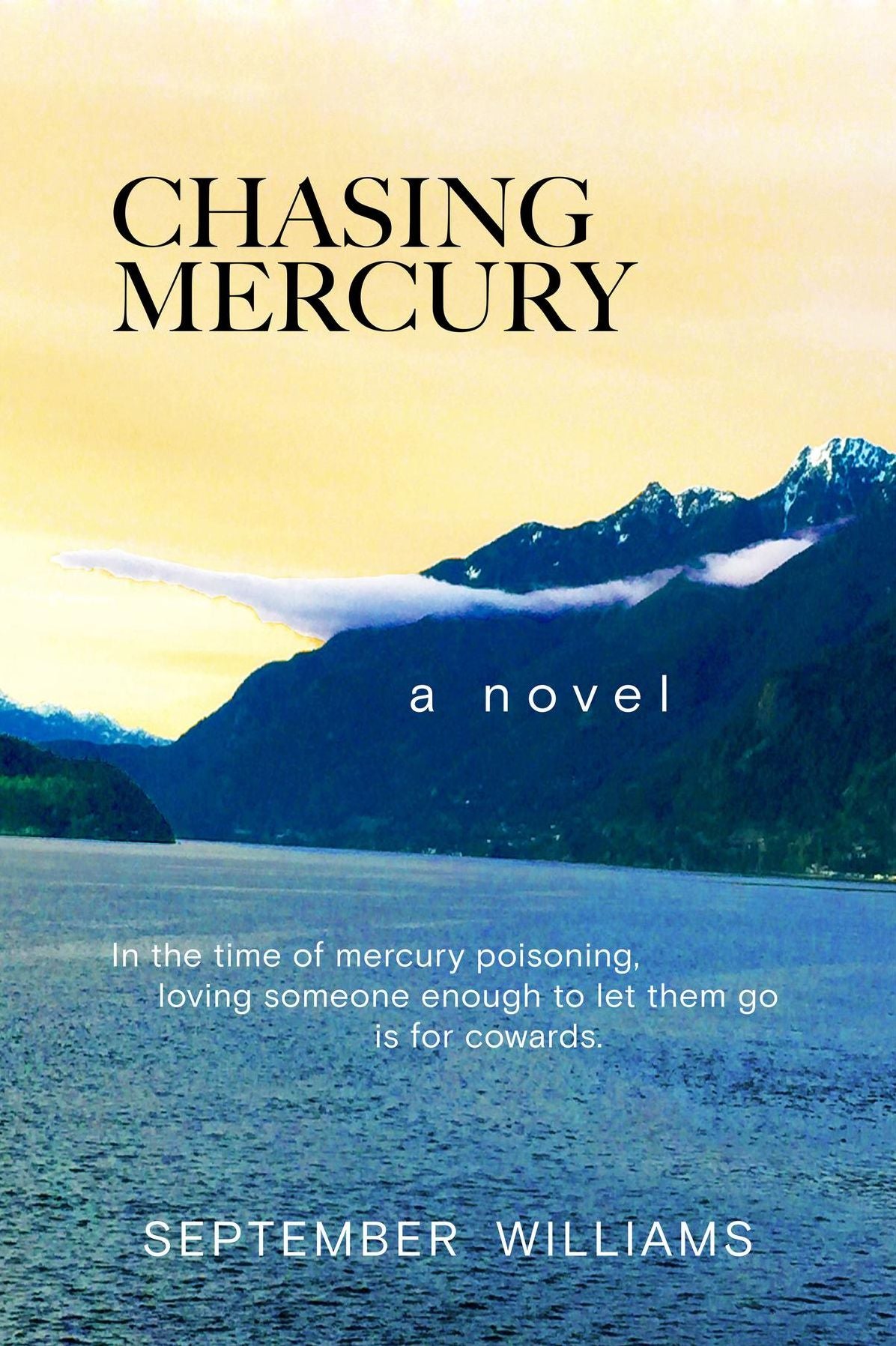 Chasing Mercury: In the time of Mercury Poisoning Loving Someone Enough to Let Them Go is for Cowards
