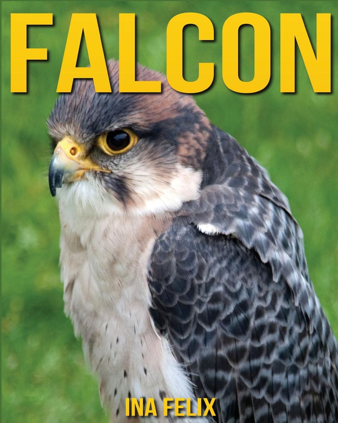 Falcon: Children Book of Fun Facts & Amazing Photos on Animals in Nature - A Wonderful Falcon Book for Kids aged 3-7