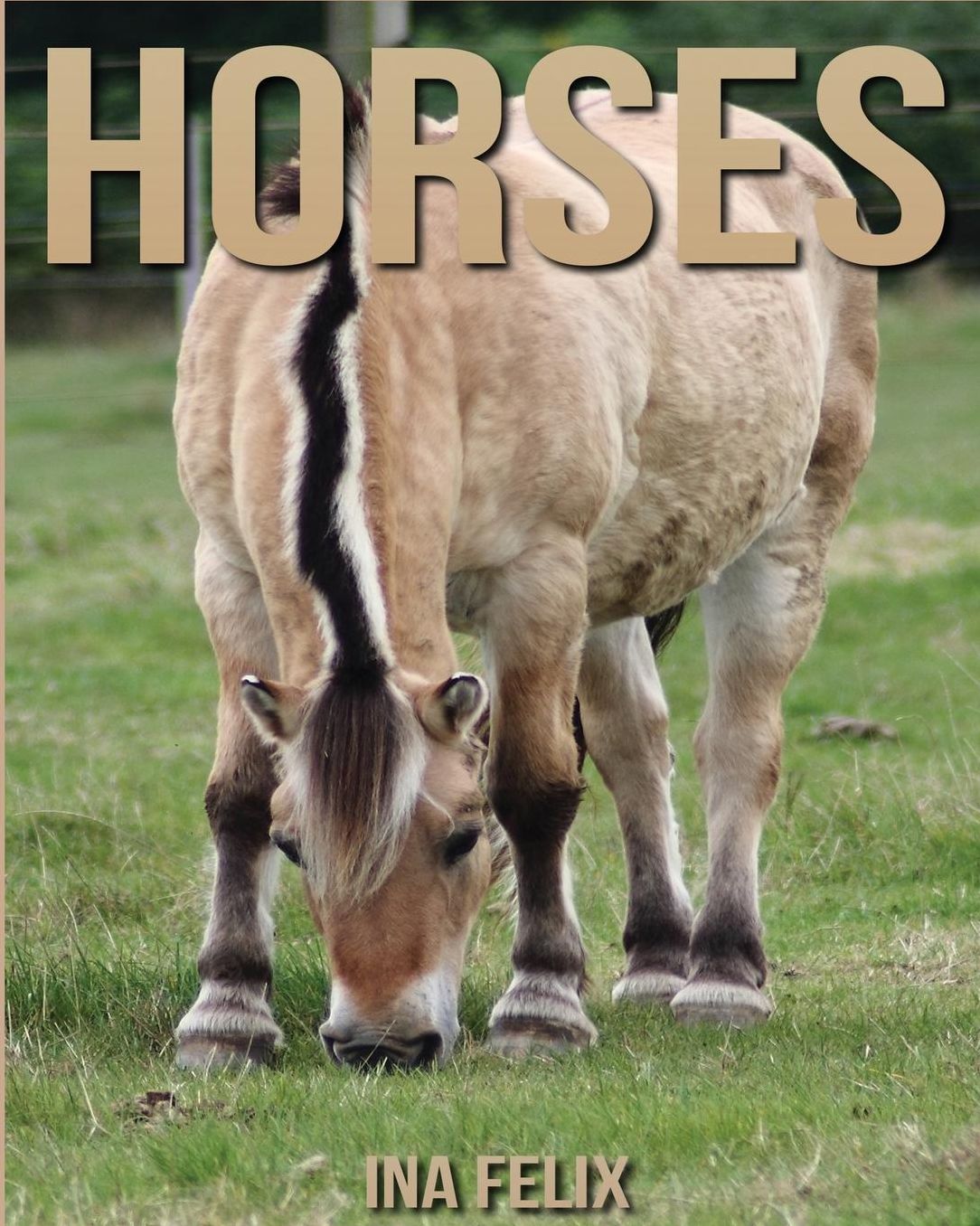 Horses: Children Book of Fun Facts & Amazing Photos on Animals in Nature - A Wonderful Horses Book for Kids aged 3-7