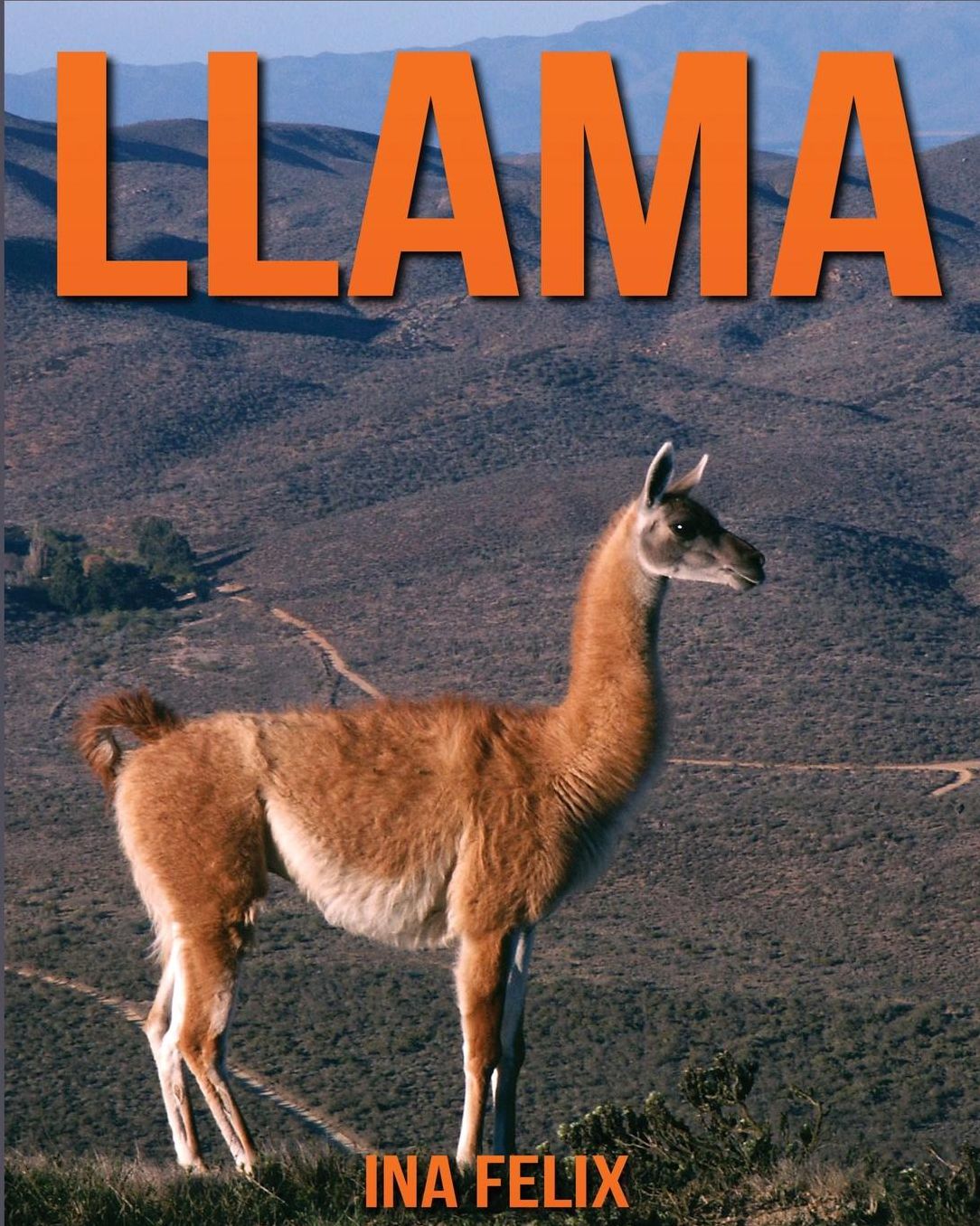 Llama: Children Book of Fun Facts & Amazing Photos on Animals in Nature - A Wonderful Llama Book for Kids aged 3-7