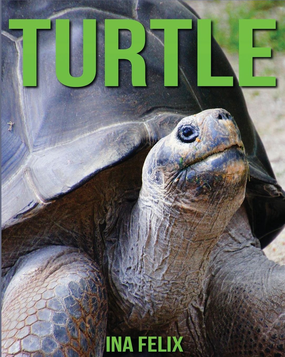 Turtle: Children Book of Fun Facts & Amazing Photos on Animals in Nature - A Wonderful Turtle Book for Kids Aged 3-7