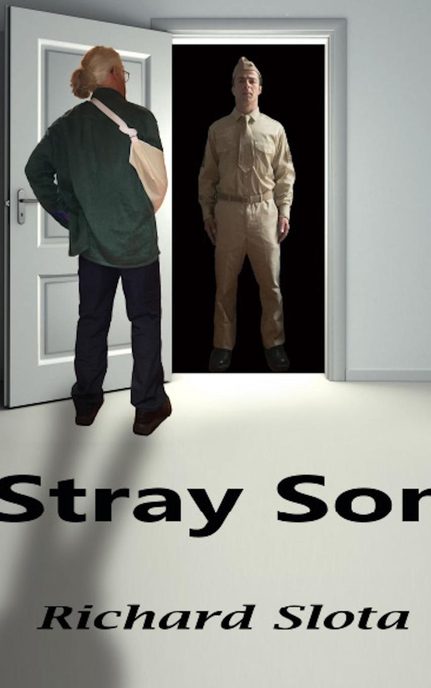 Stray Son