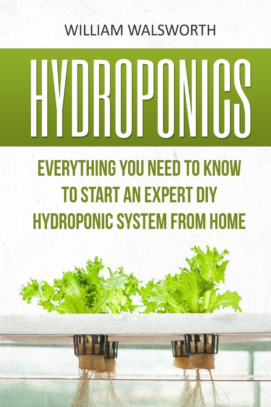 Hydroponics: Everything You Need to Know to Start an Expert DIY Hydroponic System from Home