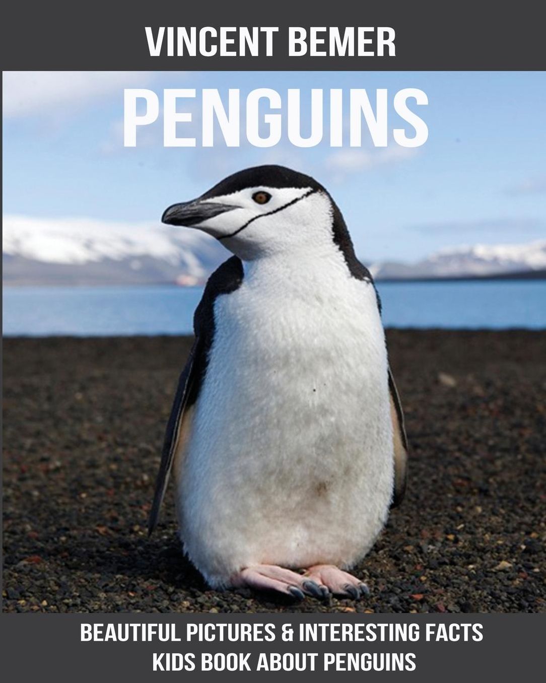 Penguins: Beautiful Pictures & Interesting Facts Kids Book About Penguins