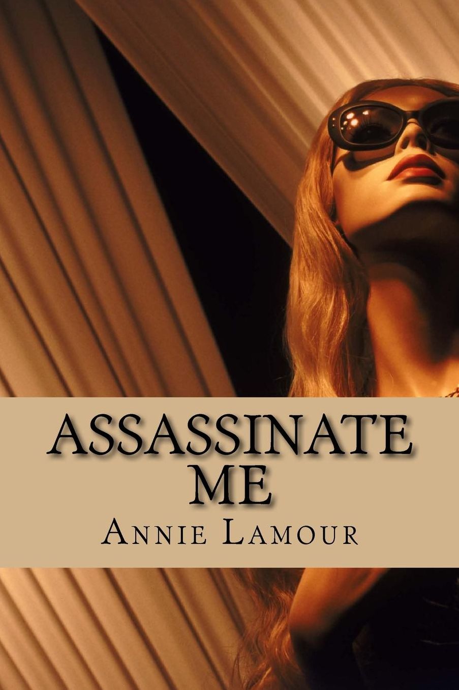 Assassinate Me: Erotic Romace