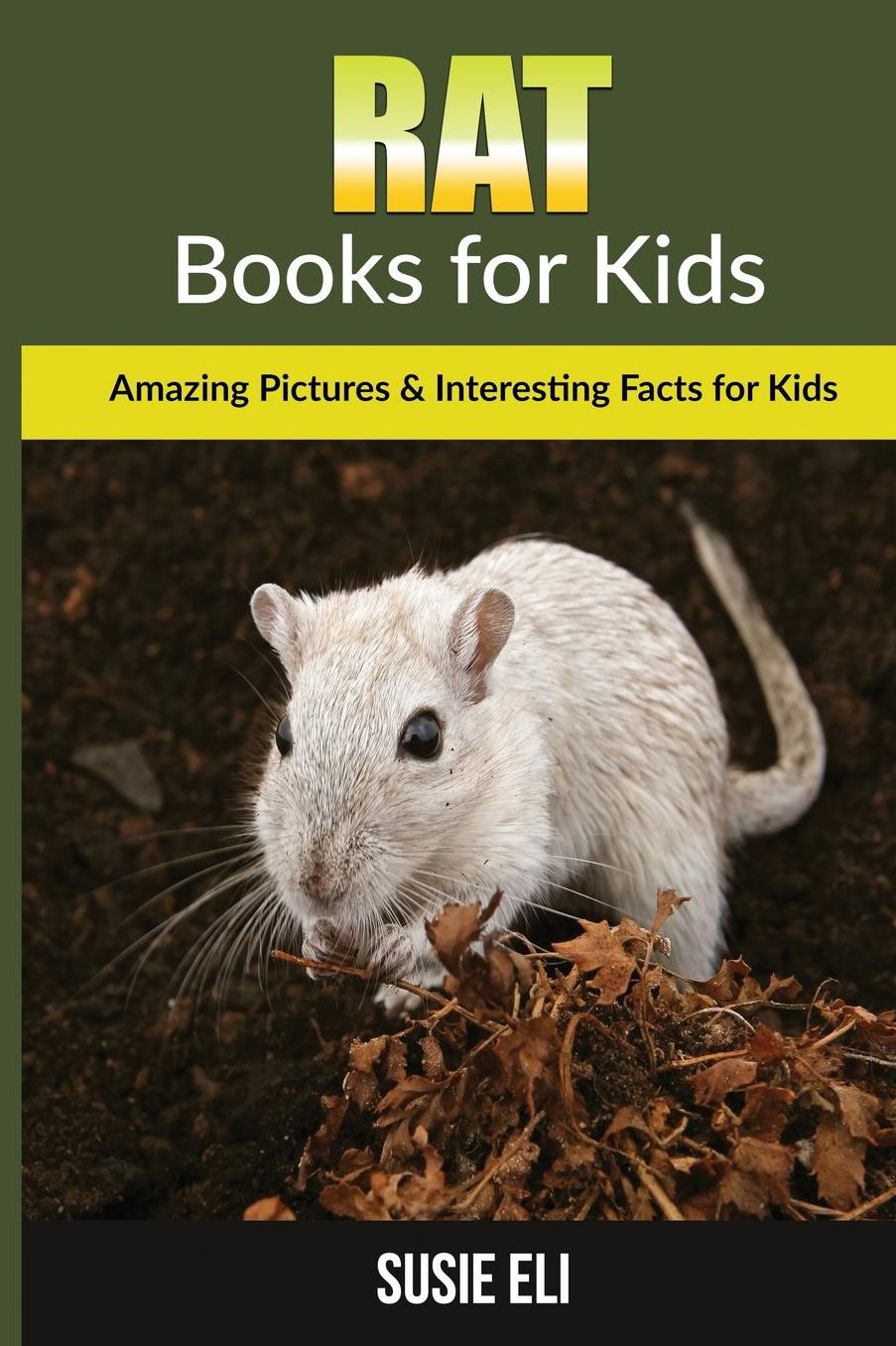 Rat: Amazing Pictures & Interesting Facts for Kids