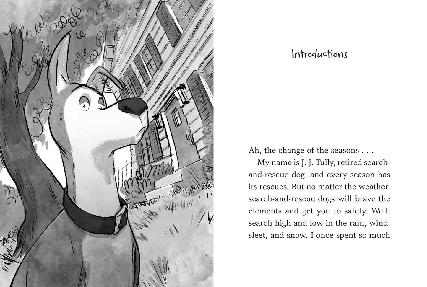 Bear Country: Bearly a Misadventure