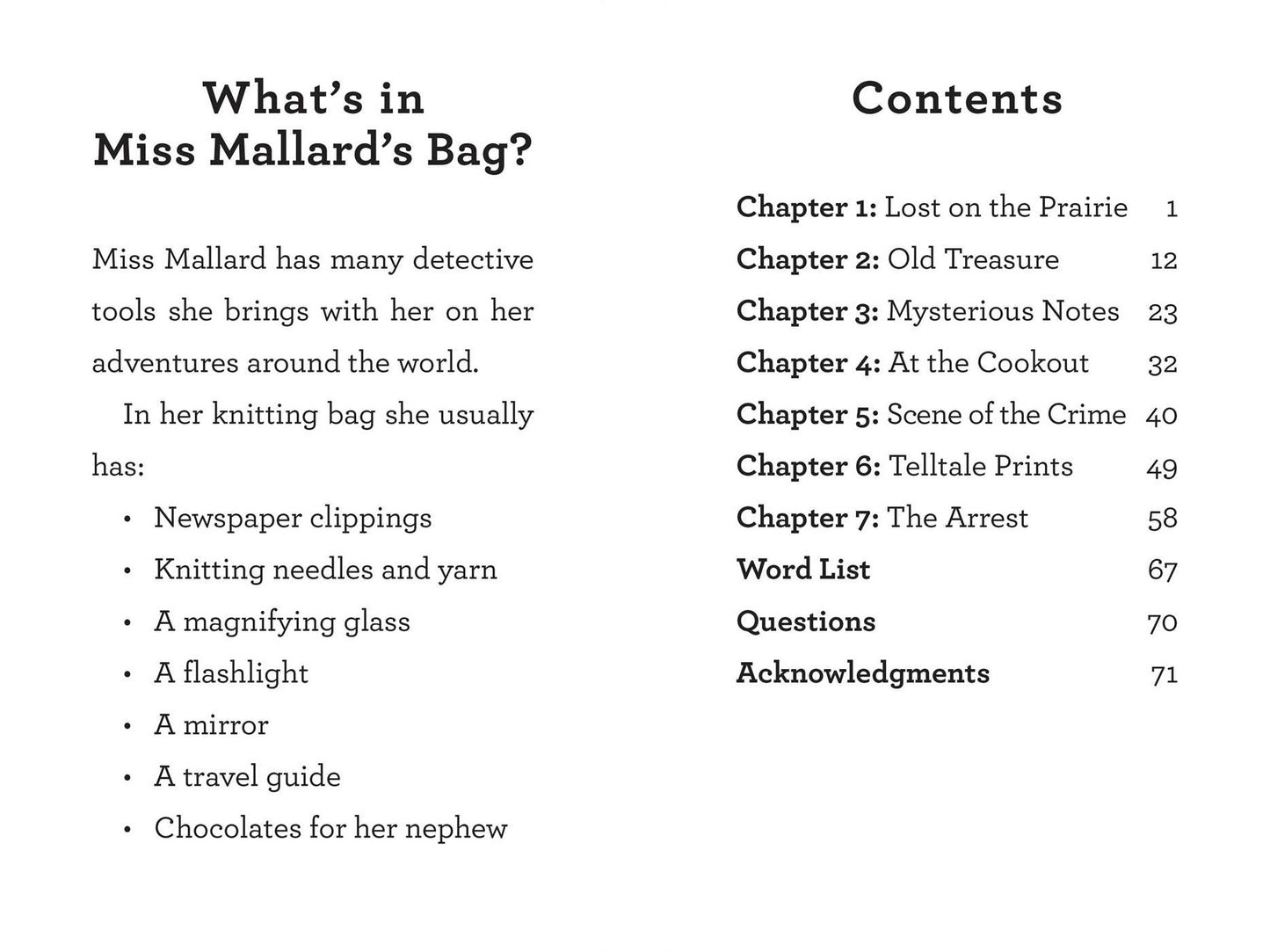 Texas Trail to Calamity: A Miss Mallard Mystery
