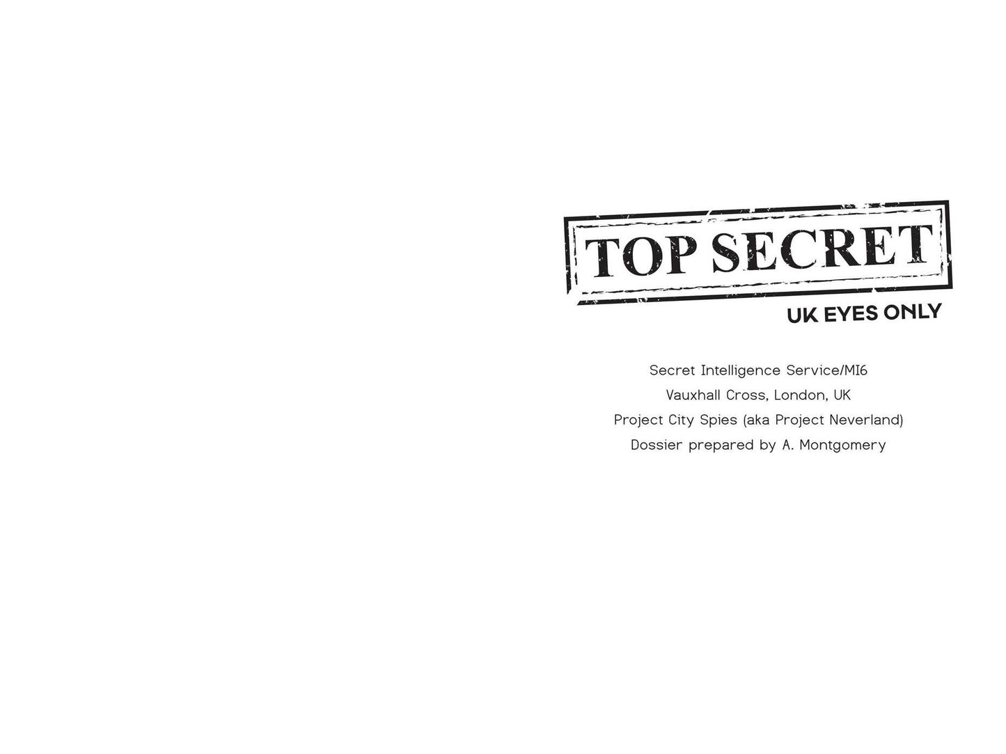 City Spies