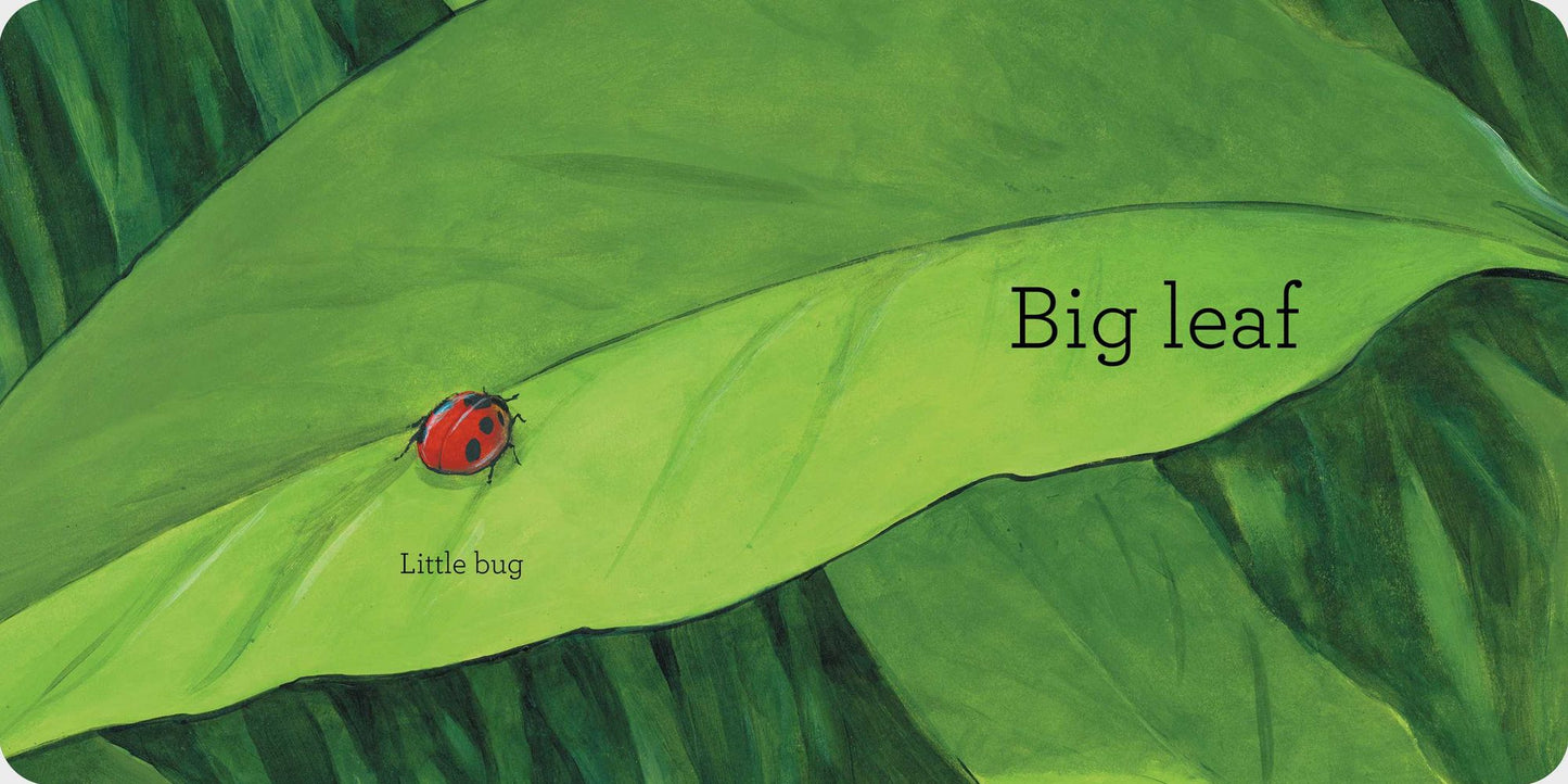 Big Bug