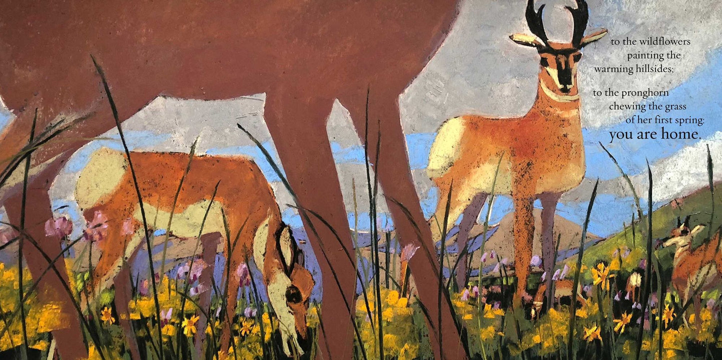 You Are Home: An Ode to the National Parks