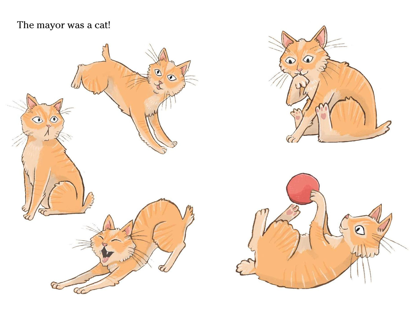 The Cat Who Ruled the Town
