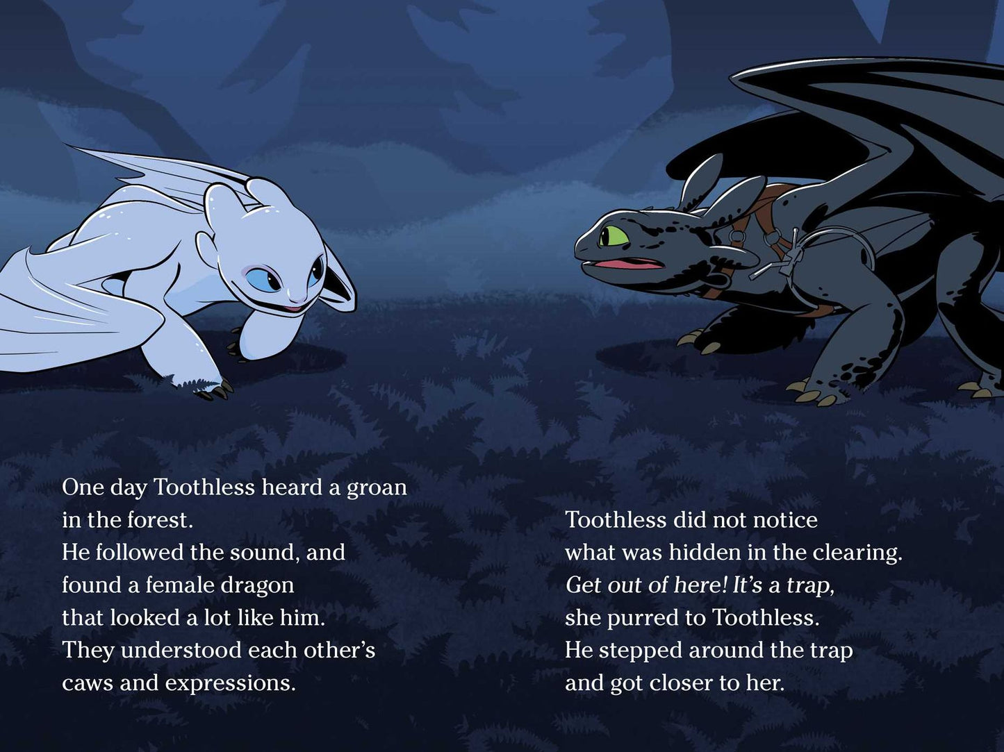 The Night Fury and the Light Fury