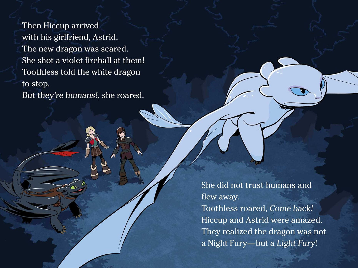 The Night Fury and the Light Fury