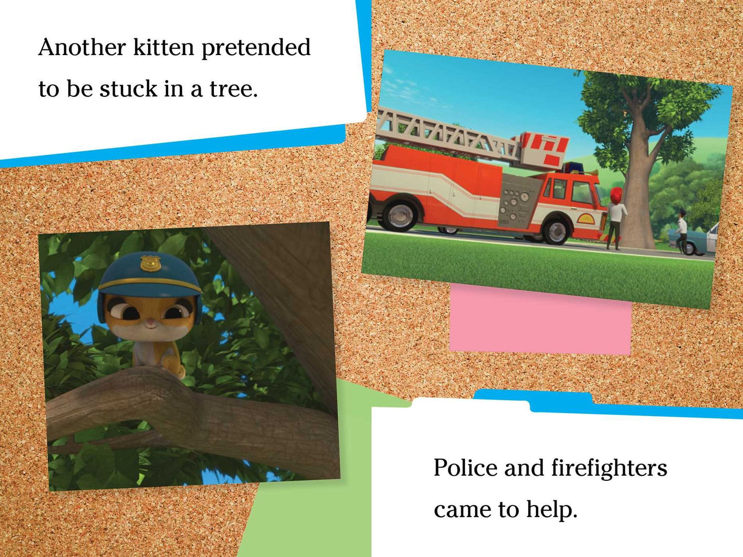 Babies Versus Kittens