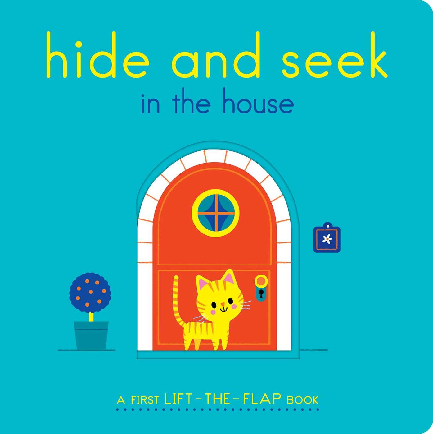 Hide and Seek in the House: A First Lift-the-Flap Book