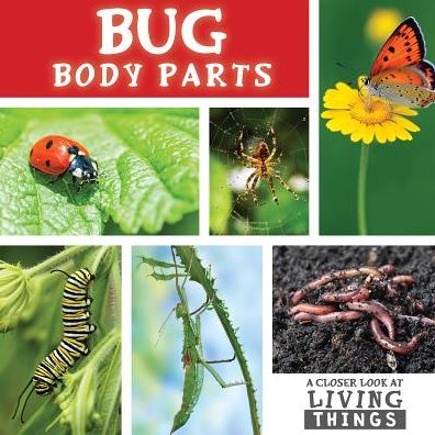 Bug Body Parts