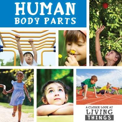 Human Body Parts