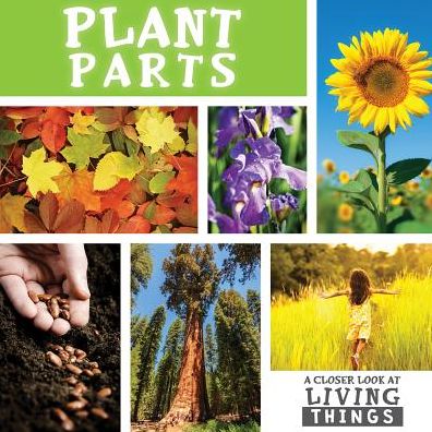 Plant Parts