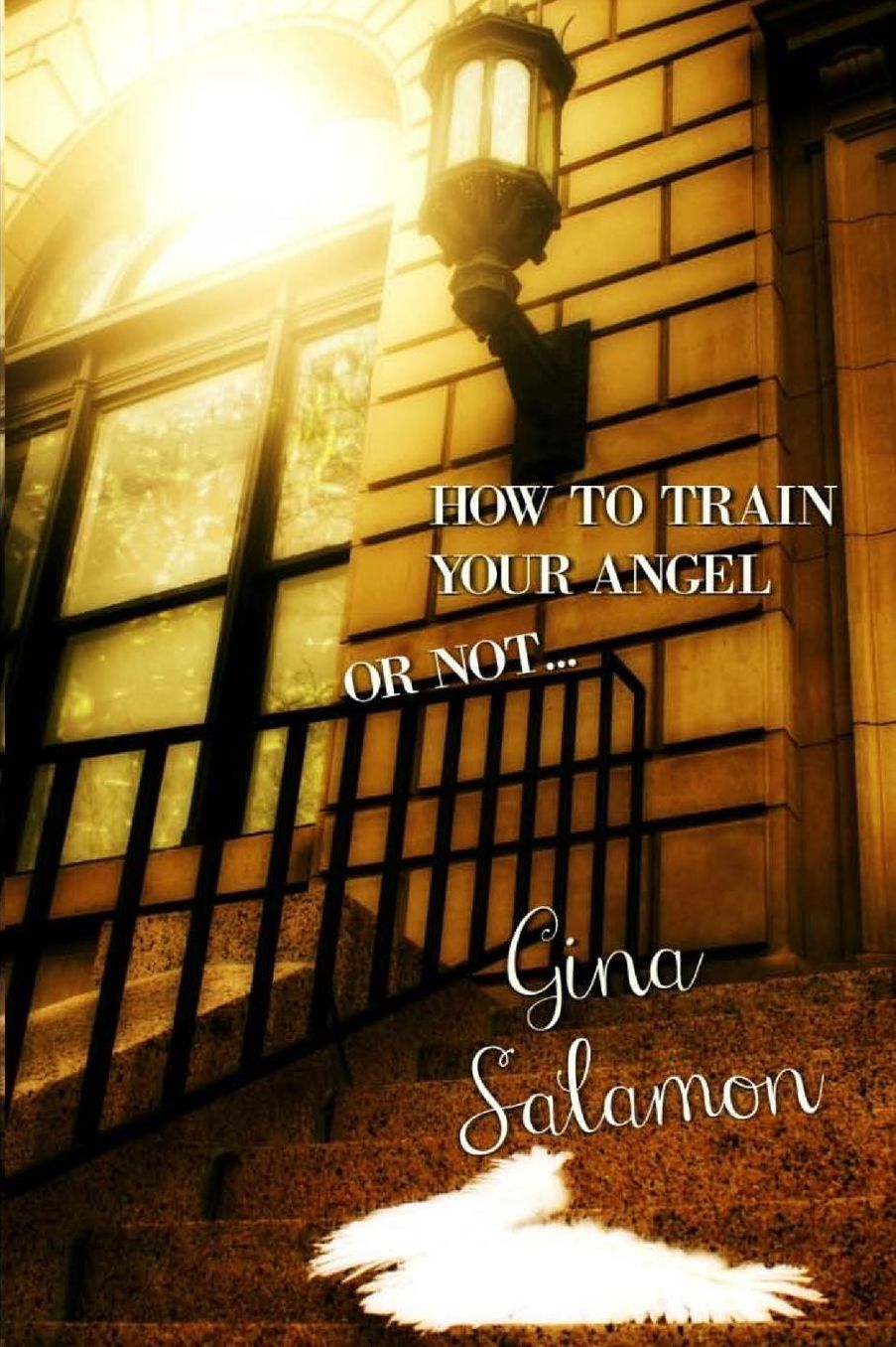How to Train Your Angel: Or Not . . .