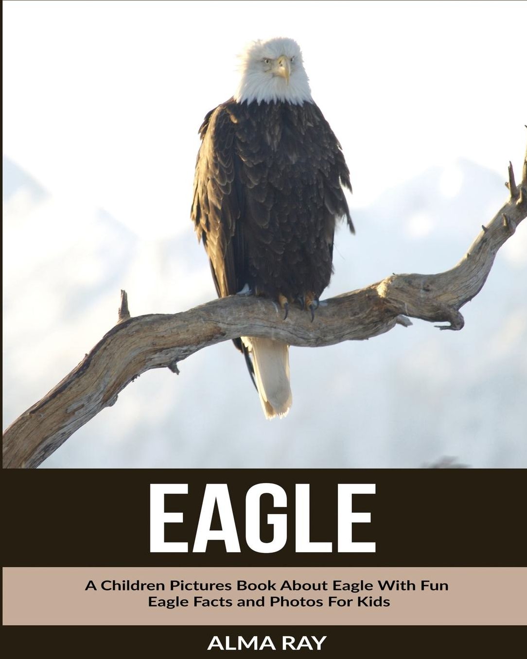 Eagle: A Children Pictures Book About Eagle With Fun Eagle Facts and Photos For Kids