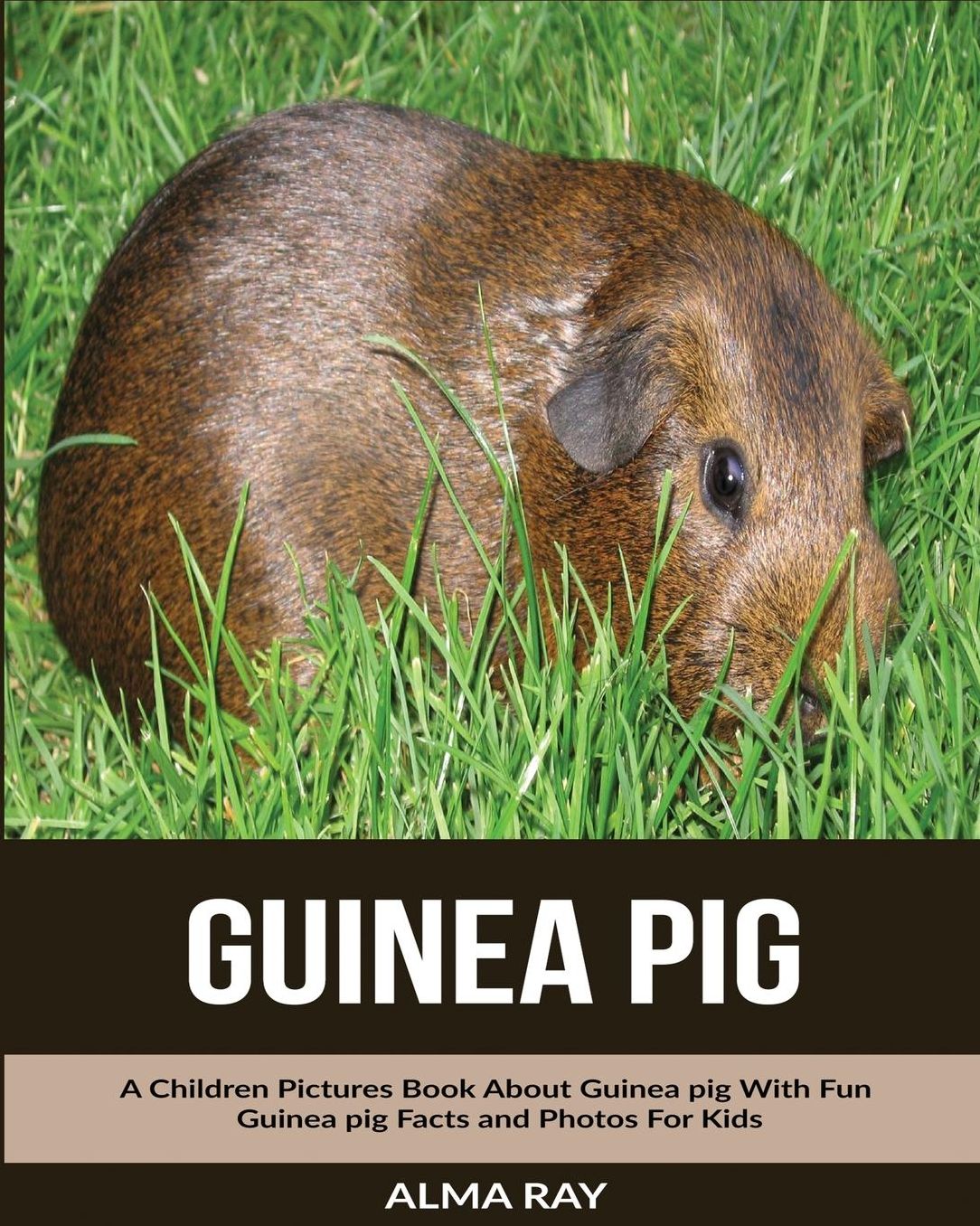 Guinea pig: A Children Pictures Book About Guinea pig With Fun Guinea pig Facts and Photos For Kids