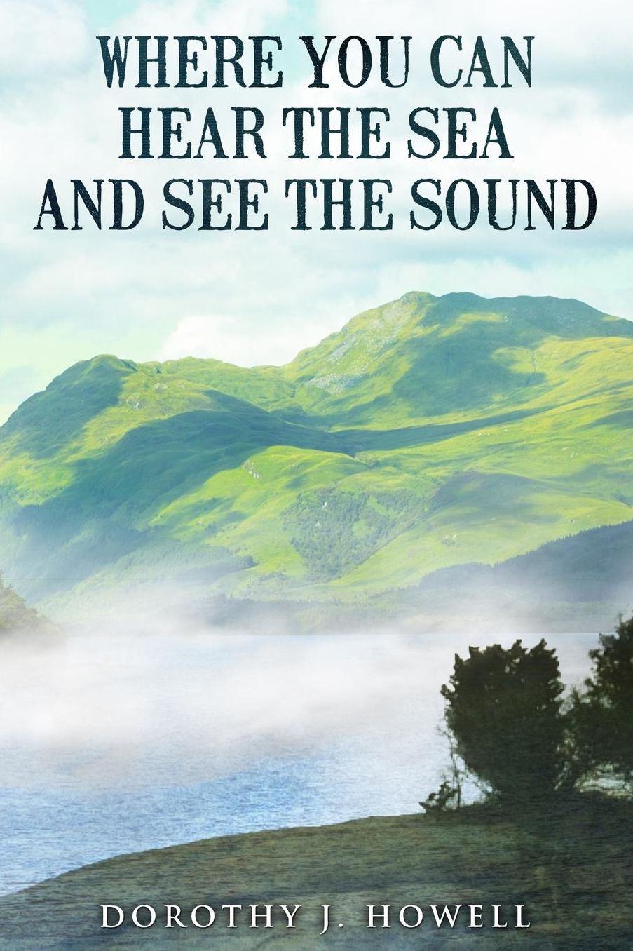 Where You Can Hear the Sea and See the Sound