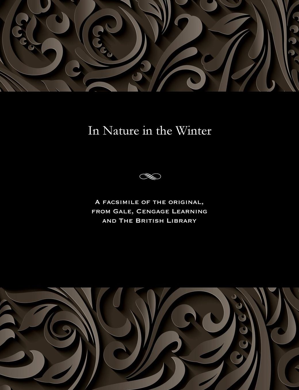 In Nature in the Winter