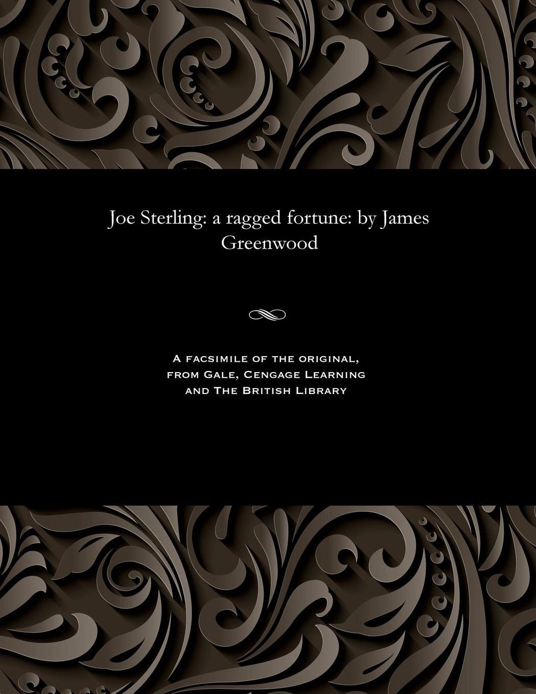 Joe Sterling: a ragged fortune: by James Greenwood