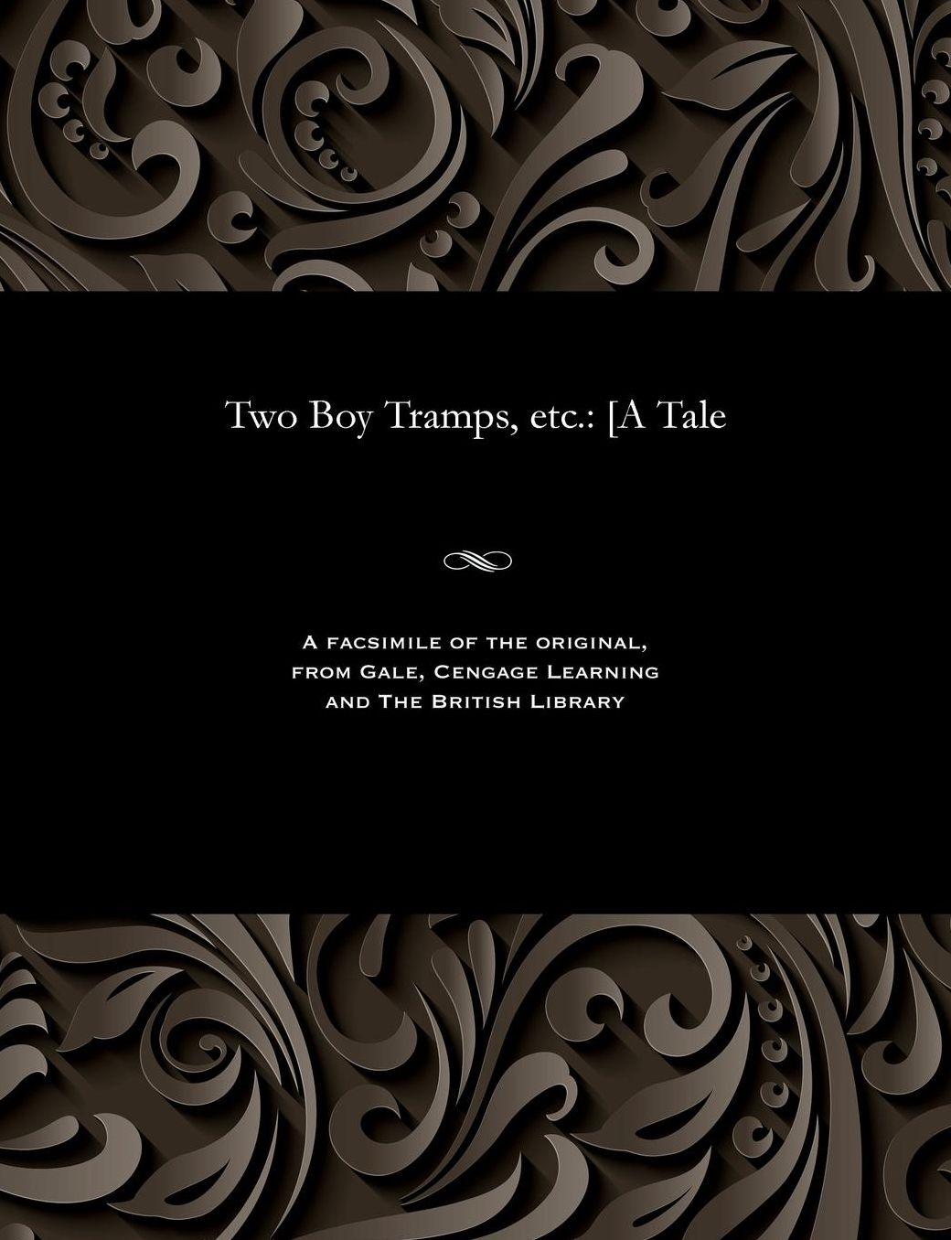 Two Boy Tramps, etc.: [A Tale