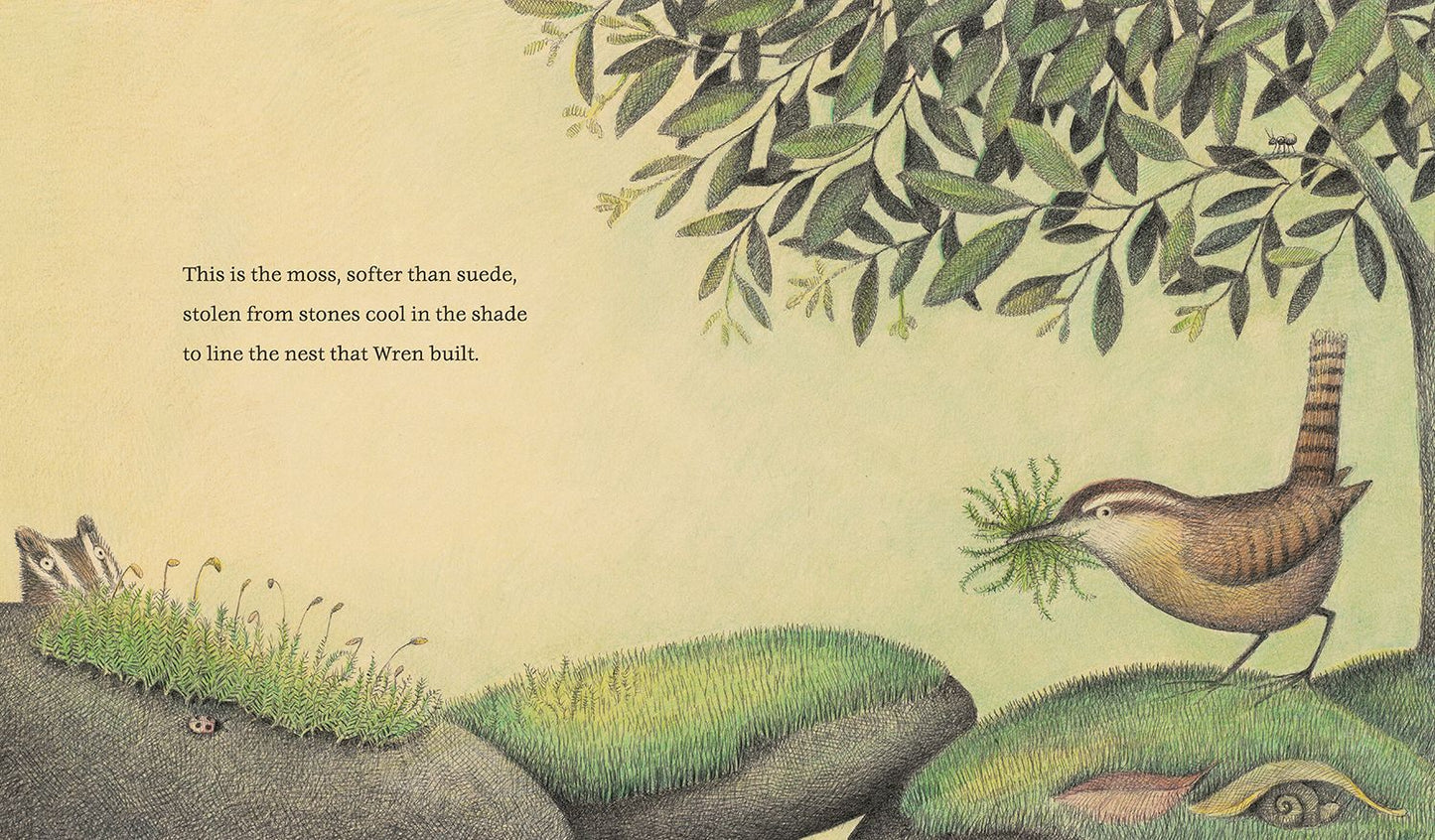 The Nest That Wren Built