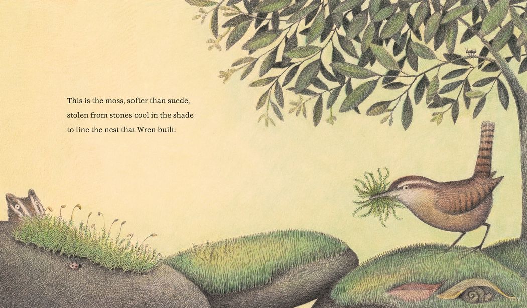 The Nest That Wren Built