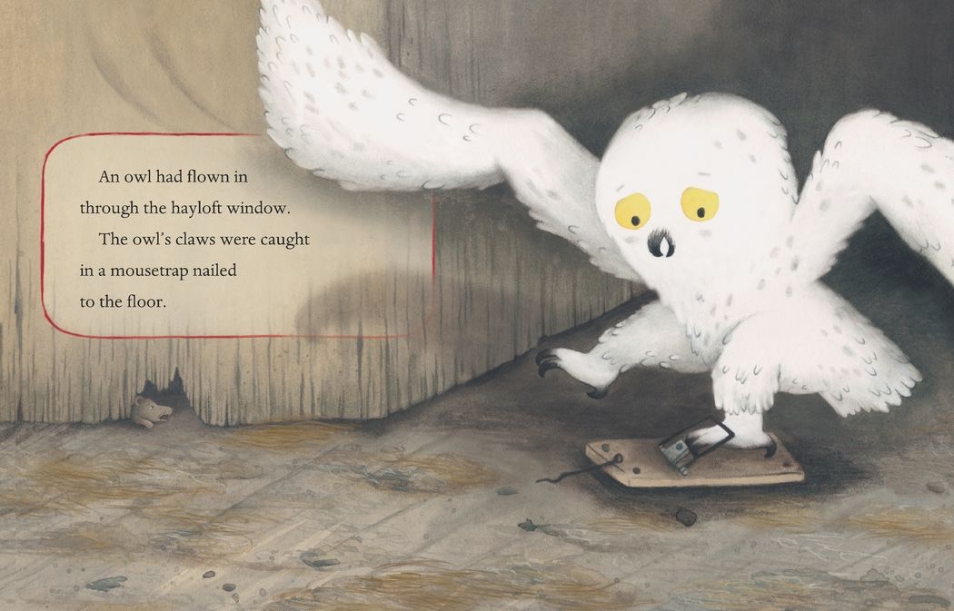 Orris and Timble: The Beginning