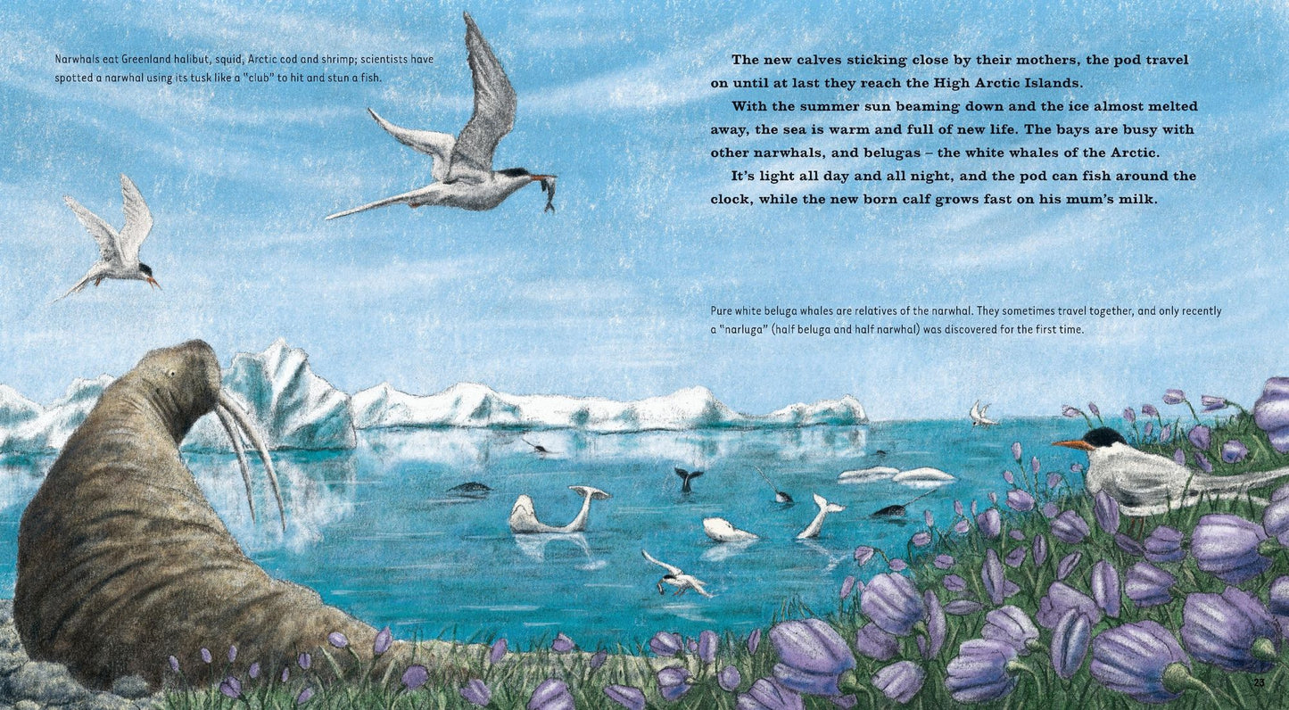 Narwhal: The Arctic Unicorn: Read and Wonder
