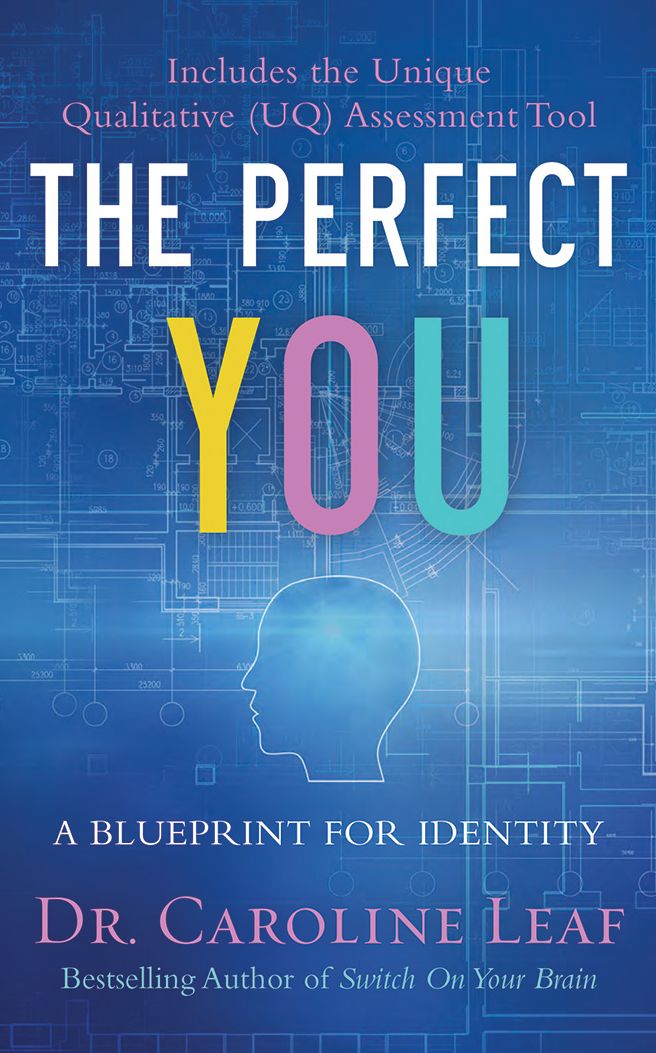 The Perfect You: A Blueprint for Identity