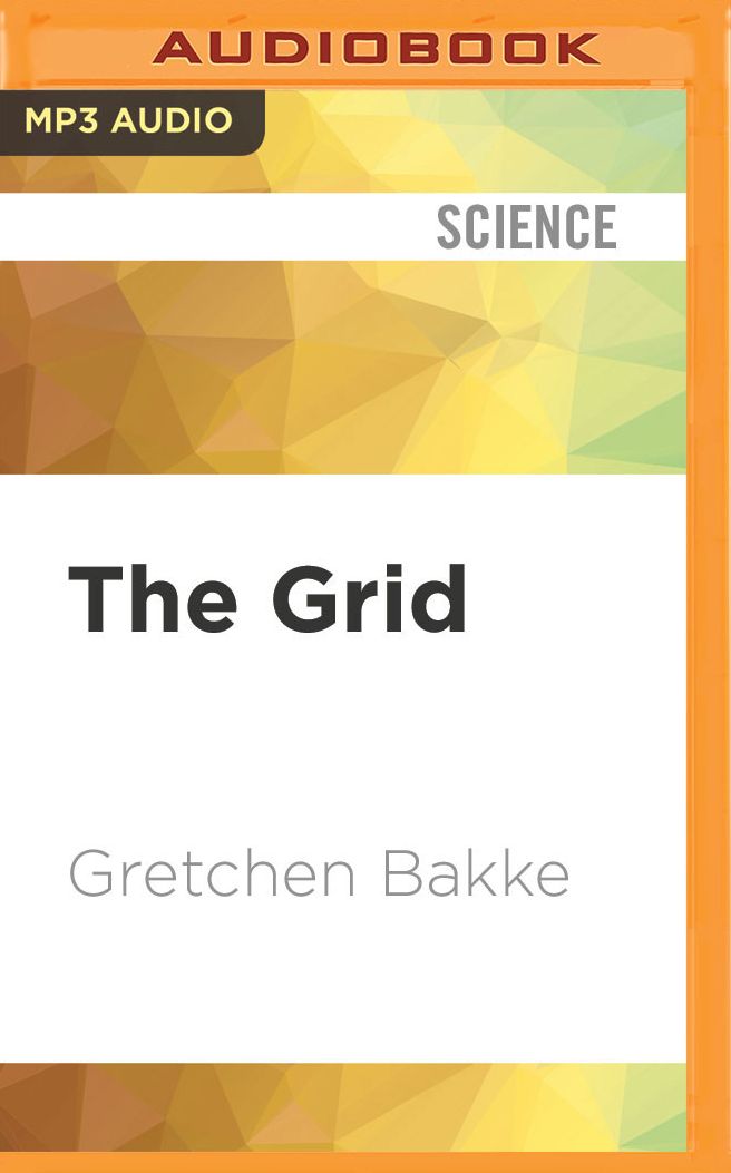 The Grid: The Fraying Wires between Americans and Our Energy Future