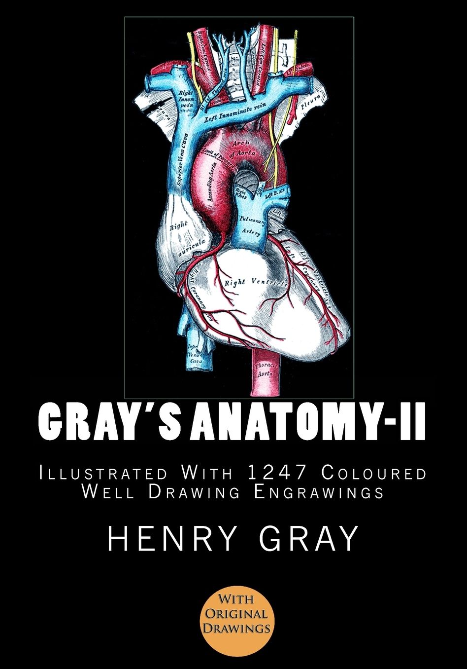 Gray's Anatomy: [Illustrated With 1247 Coloured Well Drawing Engrawings]