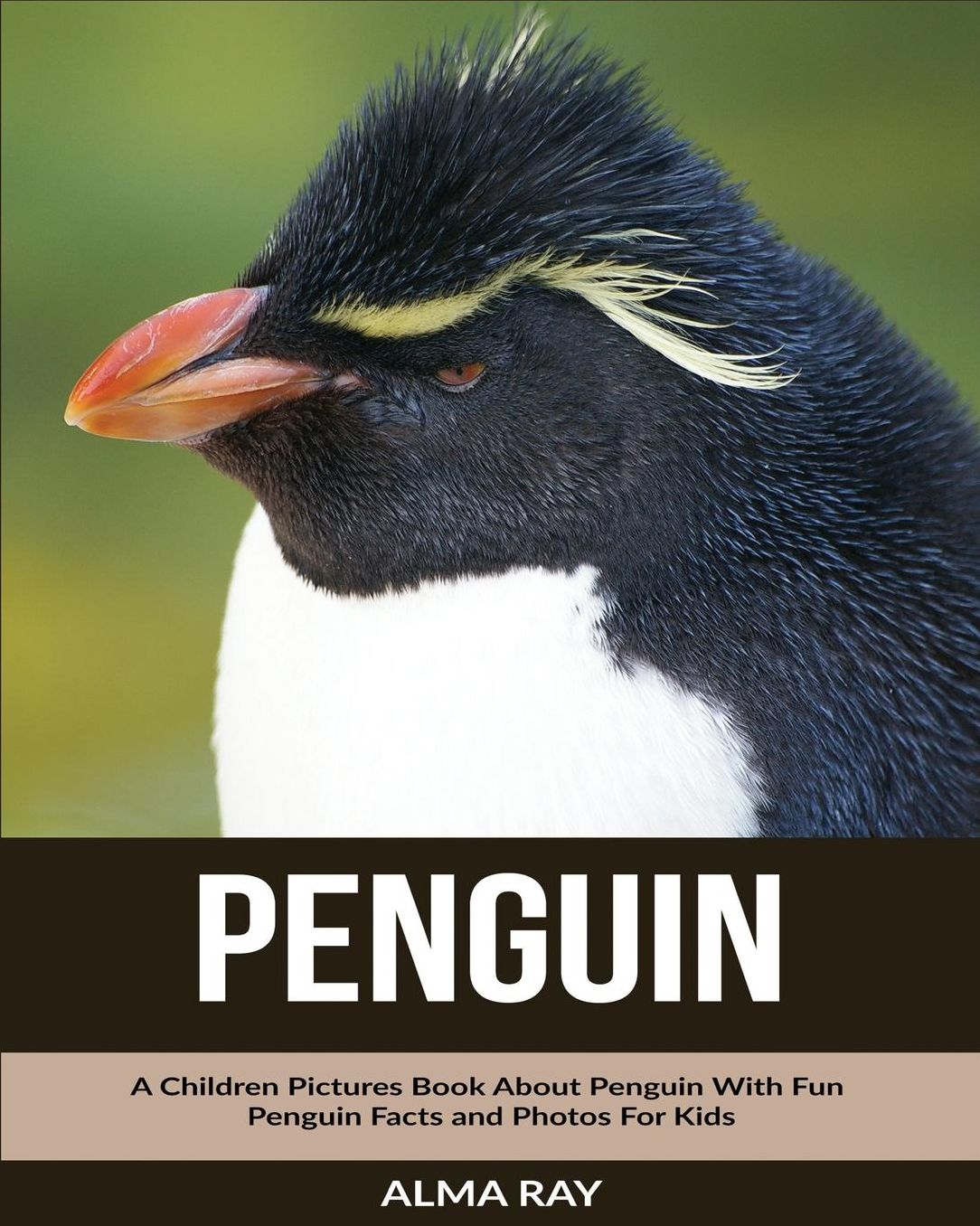 Penguin: A Children Pictures Book About Penguin With Fun Penguin Facts and Photos For Kids